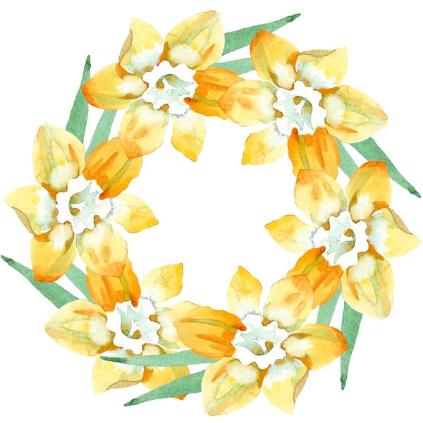 Narciso amarillo flor botánica floral. Conjunto de ilustración de fondo acuarela. Marco borde ornamento cuadrado . — Foto de Stock