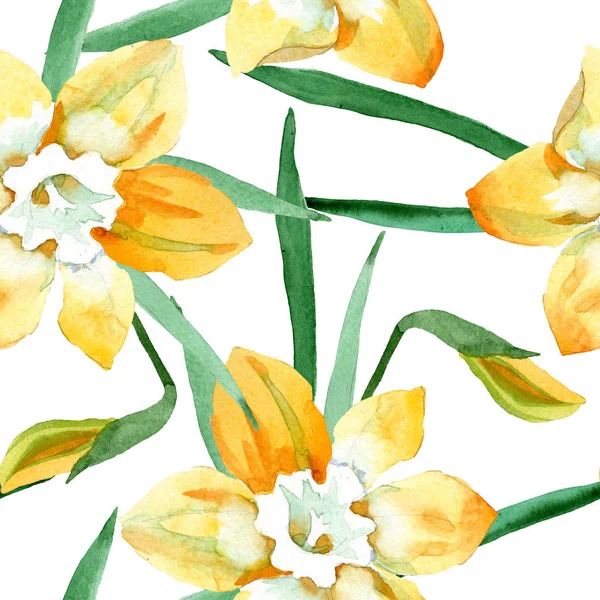 노란 수 선화 꽃 식물 꽃입니다. 수채화 배경 그림 설정 합니다. 원활한 배경 패턴 — 스톡 사진