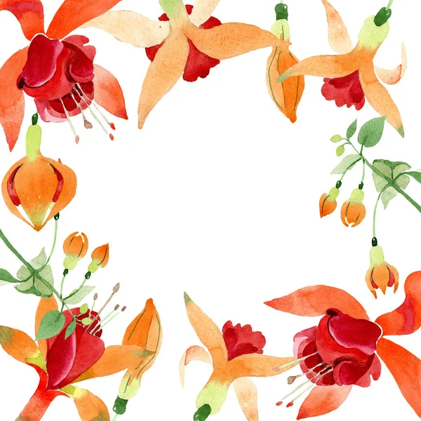 Flor botánica floral fucsia naranja roja. Conjunto de ilustración de fondo acuarela. Marco borde ornamento cuadrado . — Foto de Stock