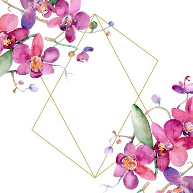 Pembe orkide buketi botanik çiçek. Suluboya arka plan illüstrasyon küme. Çerçeve kenarlığı süsleme Meydanı.
