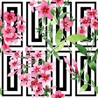 Pembe phlox foral botanik çiçek. Suluboya arka plan illüstrasyon küme. Sorunsuz arka plan deseni.