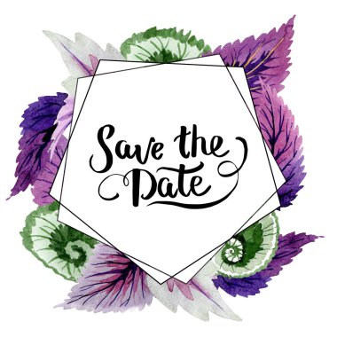 Begonya yaprakları yeşil ve mor. Suluboya arka plan illüstrasyon küme. Çerçeve kenarlığı süsleme Meydanı.