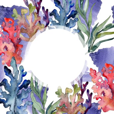 Kırmızı ve mavi su sualtı doğa mercan kayalığı. Suluboya arka plan ayarlamak. Çerçeve kenarlığı süsleme Meydanı.