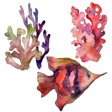 Kırmızı su sualtı doğa balık ve mercan kayalığı izole öğesi. Suluboya arka plan illüstrasyon seti.