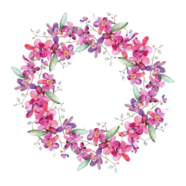 粉红兰花花束花植物花。水彩背景插图集。框架边框装饰正方形. — 图库照片