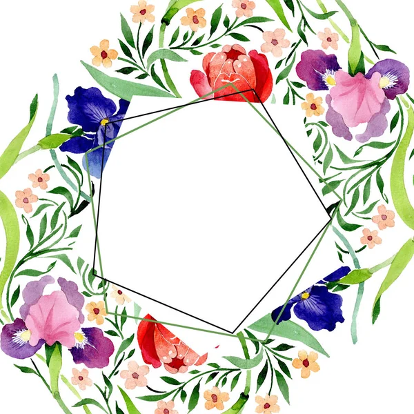 홍 채와 튤립 장식 식물 꽃입니다. 수채화 배경 그림 설정 합니다. 프레임 테두리 장식 스퀘어. — 스톡 사진