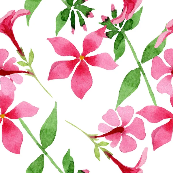 Ροζ phlox foral βοτανικό λουλούδι. Ακουαρέλα φόντο εικόνα σύνολο. Απρόσκοπτη υπόβαθρο μοτίβο. — Φωτογραφία Αρχείου
