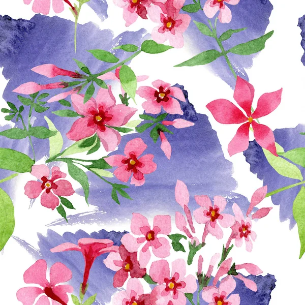 Fleur botanique forale de phlox rose. Ensemble d'illustration de fond aquarelle. Modèle de fond sans couture . — Photo