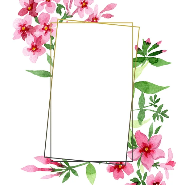 Ροζ phlox foral βοτανικό λουλούδι. Ακουαρέλα φόντο εικόνα σύνολο. Πλαίσιο συνόρων στολίδι τετράγωνο. — Φωτογραφία Αρχείου
