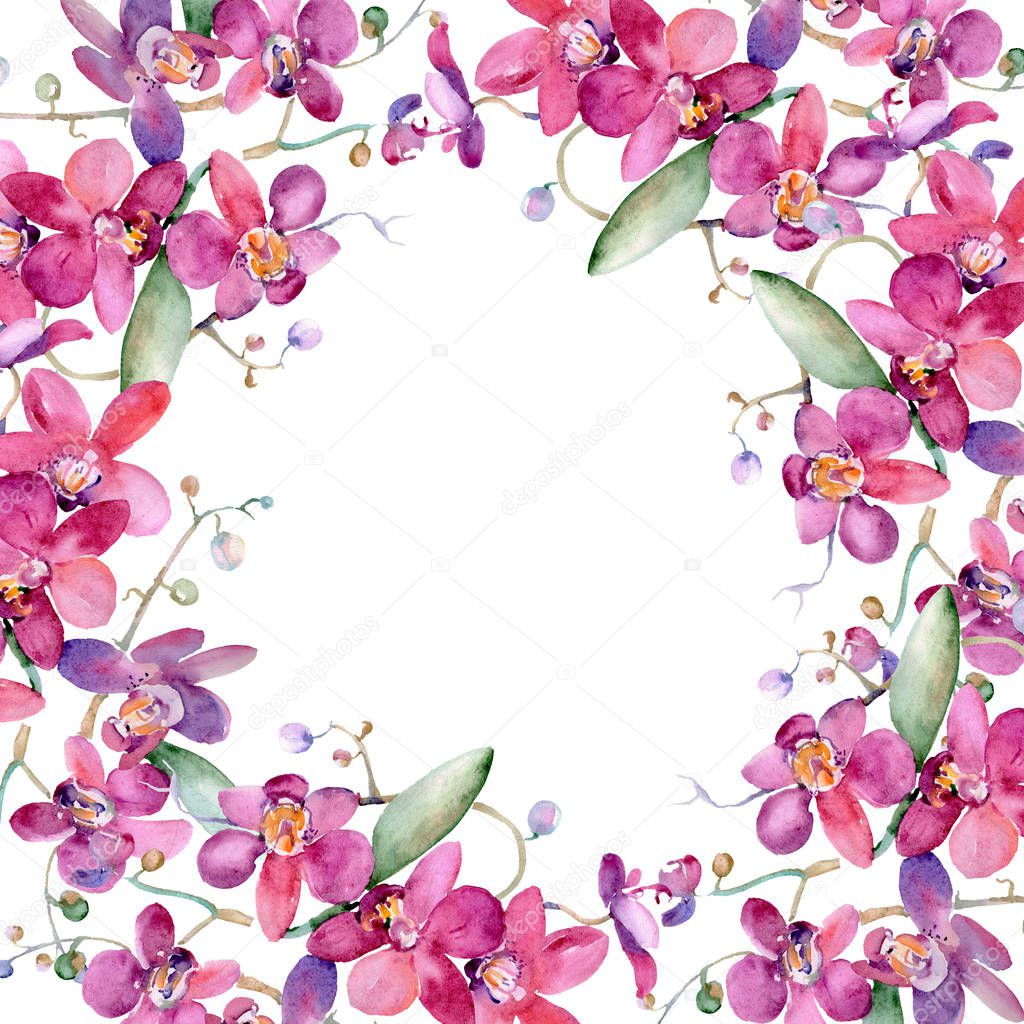 Pink orchid bouquet floral botanical flower. Watercolor background illustration set. Frame border ornament square.