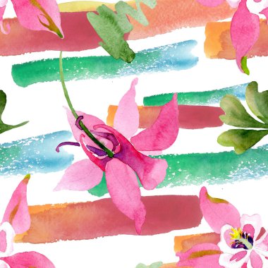 Kırmızı aquilegia botanik çiçek. Suluboya arka plan illüstrasyon küme. Sorunsuz arka plan deseni.