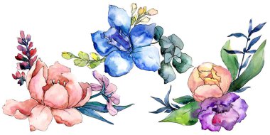 Şakayık buketleri botanik çiçek. Suluboya arka plan ayarlamak. İzole buket illüstrasyon öğesi.