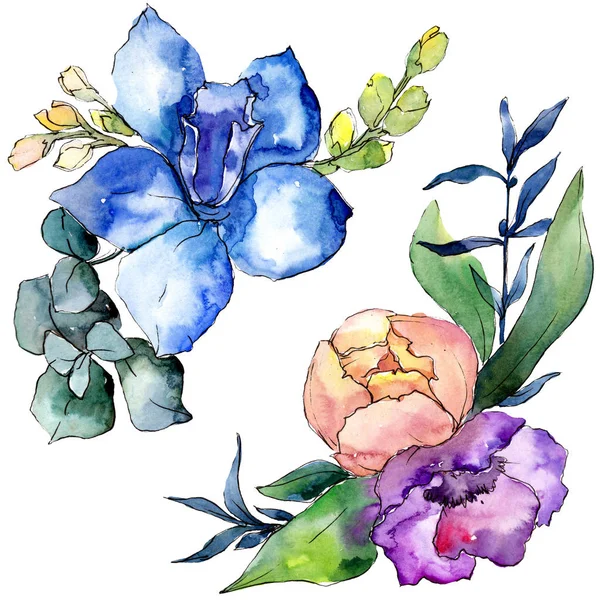 Mazzi di peonia fiori botanici floreali. Set sfondo acquerello. Elemento di illustrazione bouquet isolato . — Foto Stock