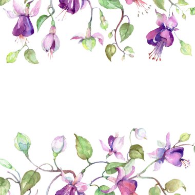 Mor fuşya buket. Botanik çiçek. Vahşi bahar yaprak izole kır çiçeği. Suluboya arka plan illüstrasyon küme. Suluboya çizim moda aquarelle. Çerçeve kenarlığı süsleme Meydanı.