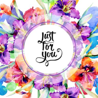 Mor daylily buket çiçek botanik çiçekler. Suluboya arka plan illüstrasyon küme. Çerçeve kenarlığı süsleme Meydanı.