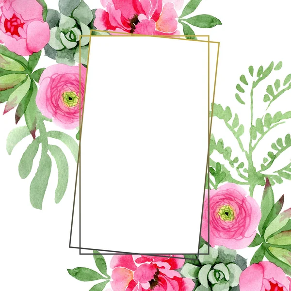 Flores botânicas florais de ranúnculo rosa. Conjunto de ilustração de fundo aquarela. Quadro borda ornamento quadrado . — Fotografia de Stock