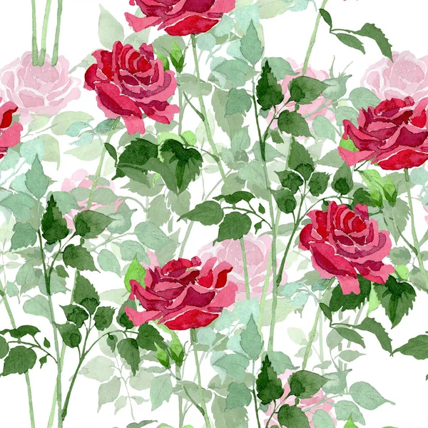 Vermelho arbusto rosas flores botânicas florais. Conjunto de ilustração de fundo aquarela. Padrão de fundo sem costura . — Fotografia de Stock