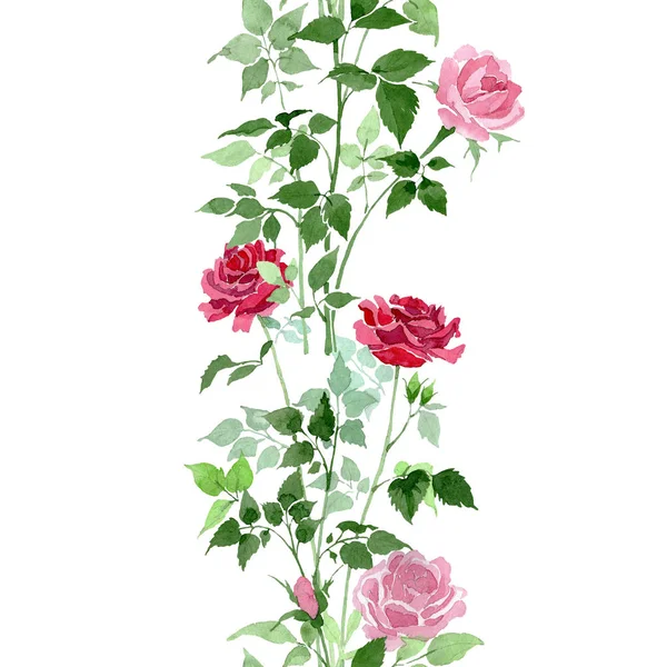 Rosas rosadas y rojas flores botánicas. Conjunto de ilustración de fondo acuarela. Patrón de fondo sin costuras . —  Fotos de Stock