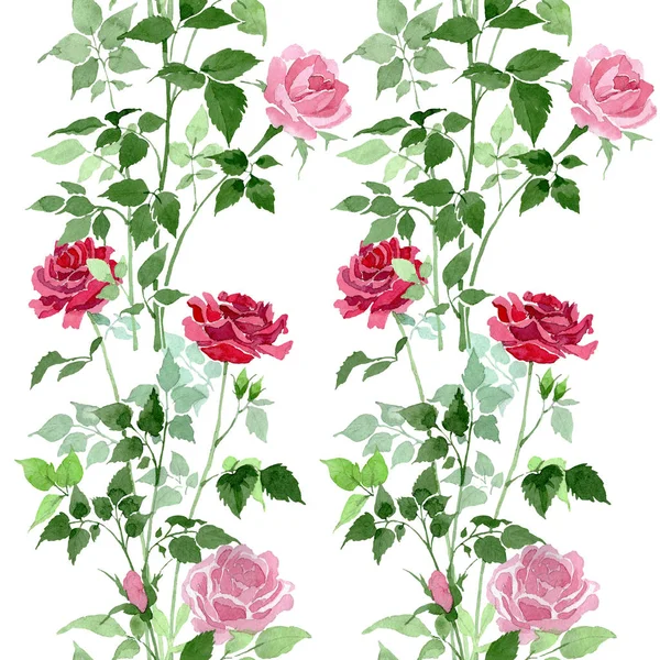 Rosa e vermelho arbusto rosas flores botânicas. Conjunto de ilustração de fundo aquarela. Padrão de fundo sem costura . — Fotografia de Stock