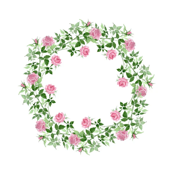 Розовые кусты розы цветочные ботанические цветы. Набор акварельных фонов. Граничный орнамент . — стоковое фото