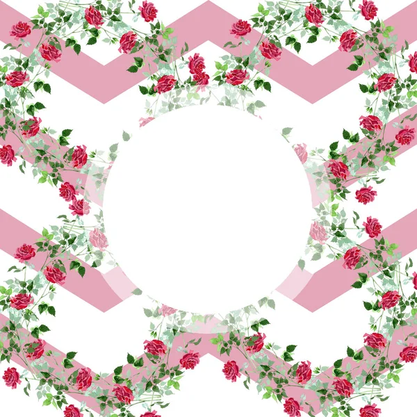 Красный Куст Розы Цветочные Ботанические Цветы Дикий Весенний Цветок Изолирован — стоковое фото