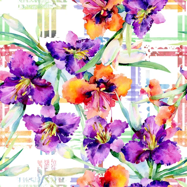 白色的水痛花美丽的春天野花无缝的背景模式织物壁纸打印纹理水彩背景插图 免费图库图片 C Andreyanush