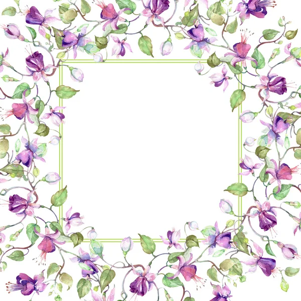 Ramo de fucsia púrpura. Flor botánica floral. Conjunto de ilustración de fondo acuarela. Marco borde ornamento cuadrado . —  Fotos de Stock