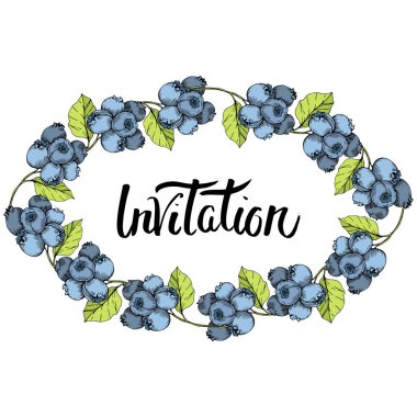 Vektör Blueberry mavi ve yeşil mürekkep sanat kazınmış. Çilek ve yeşil yaprakları. Çerçeve kenarlığı süsleme Meydanı.