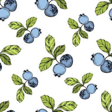 Vektör Blueberry Yeşil ve mavi mürekkep sanat kazınmış. Çilek ve yeşil yaprakları. Sorunsuz arka plan deseni.