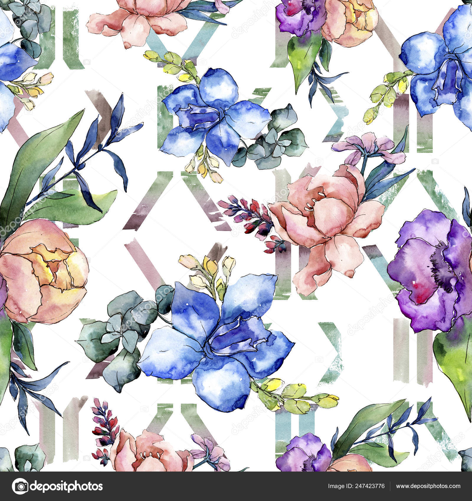 Peony bouquets floral botanical flower. Watercolor background