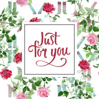 Pembe ve kırmızı güller çiçek botanik çiçekler bush. Suluboya arka plan illüstrasyon küme. Çerçeve kenarlığı süsleme Meydanı.