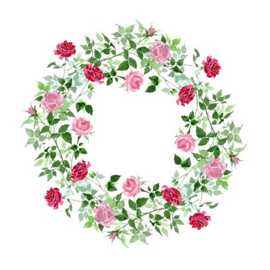 Pembe ve kırmızı güller çiçek botanik çiçekler bush. Suluboya arka plan illüstrasyon küme. Çerçeve kenarlığı süsleme Meydanı.