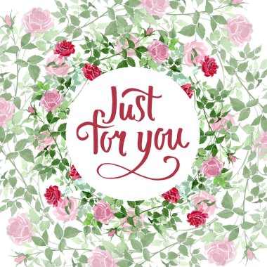 Pembe ve kırmızı güller çiçek botanik çiçekler bush. Suluboya arka plan illüstrasyon küme. Çerçeve kenarlığı süsleme Meydanı.