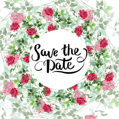 Kırmızı çalı güller çiçek botanik çiçekler. Suluboya arka plan illüstrasyon küme. Çerçeve kenarlığı süsleme Meydanı.