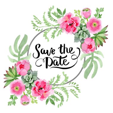 Pembe Düğünçiçeği çiçek botanik çiçekler. Suluboya arka plan illüstrasyon küme. Çerçeve kenarlığı süsleme Meydanı.