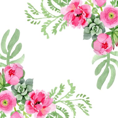 Pembe Düğünçiçeği çiçek botanik çiçekler. Suluboya arka plan illüstrasyon küme. Çerçeve kenarlığı süsleme Meydanı.