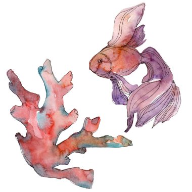 Kırmızı ve sarı su sualtı doğa mercan kayalığı. Suluboya arka plan ayarlamak. Mercan illüstrasyon izole öğesi.