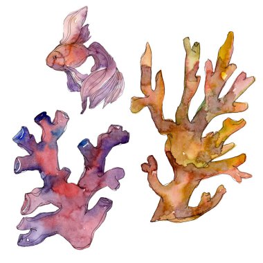 Kırmızı ve sarı su sualtı doğa mercan kayalığı. Suluboya arka plan ayarlamak. Mercan illüstrasyon izole öğesi.