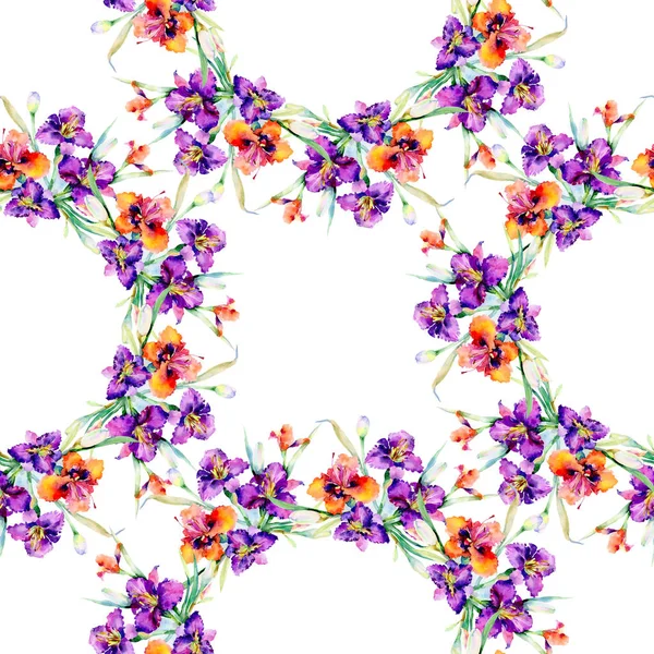 Fioletowy bukiet kwiatowy botaniczny kwiatów liliowca. Zestaw ilustracji tle akwarela. Bezszwowe tło wzór. — Zdjęcie stockowe