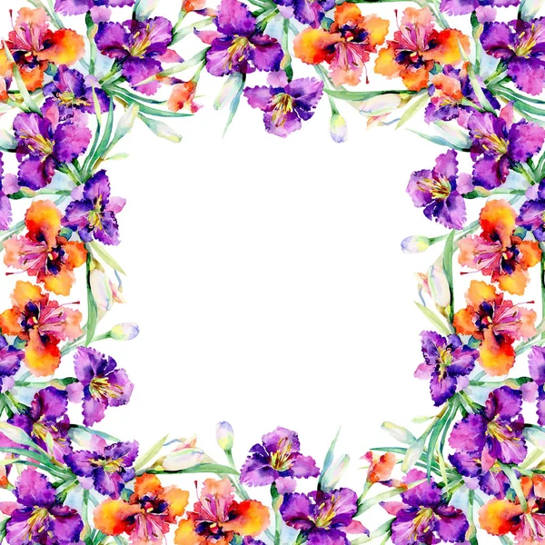 Фіолетовий букет з лілій квіткових ботанічних квітів. Набір ілюстрацій для акварельного фону. Каркасна площа прикордонного орнаменту . — стокове фото