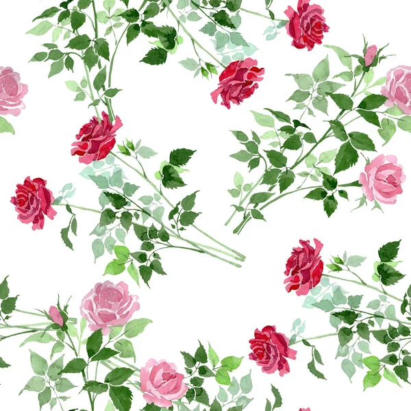 Różowe i czerwone Tuleja róż botanicznych kwiaty. Zestaw ilustracji tle akwarela. Bezszwowe tło wzór. — Zdjęcie stockowe