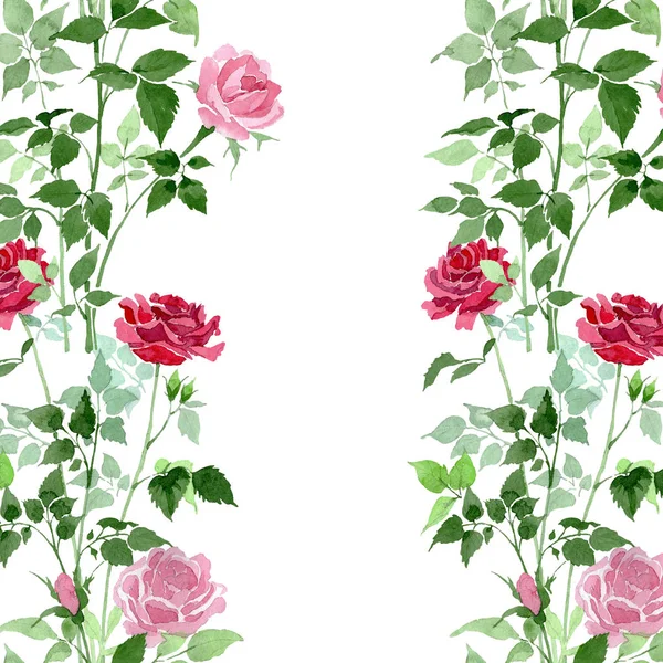 Pembe ve kırmızı çalı güller botanik çiçek. Suluboya arka plan illüstrasyon küme. Sorunsuz arka plan deseni. — Stok fotoğraf