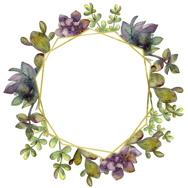 Dschungel botanische Sukkulente Blume. Aquarell Hintergrundillustration Set. Rahmen Rand Kristall Ornament Quadrat. — Stockfoto