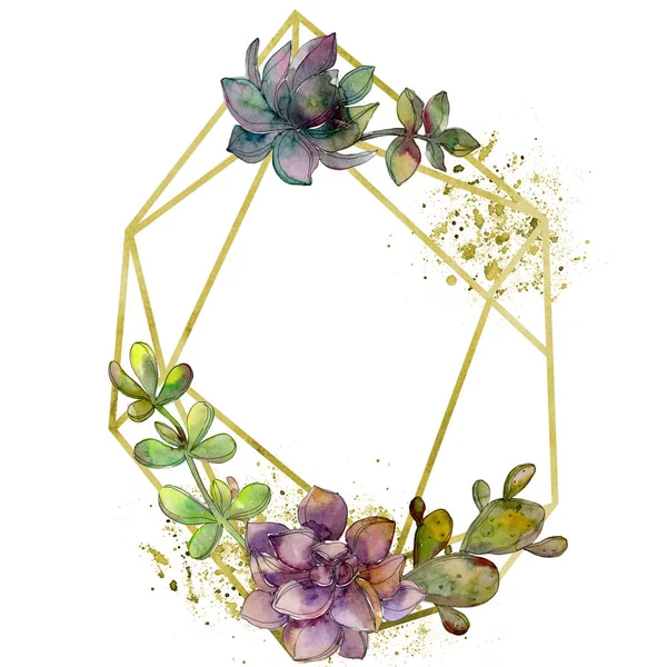 Giungla botanico fiore succulento. Acquerello sfondo illustrazione set. Cornice bordo cristallo ornamento quadrato . — Foto Stock