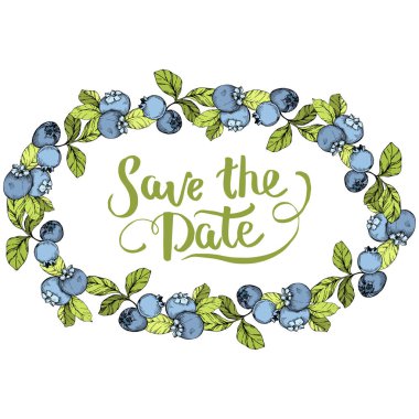 Vektör Blueberry mavi ve yeşil mürekkep sanat kazınmış. Çilek ve yeşil yaprakları. Çerçeve kenarlığı süsleme Meydanı.