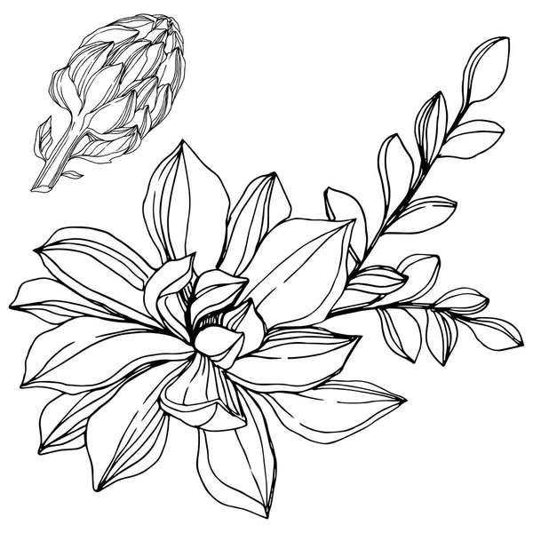 Flor suculenta botánica de la selva vectorial. Tinta grabada en blanco y negro. Elemento ilustrativo de suculentas aisladas . — Vector de stock