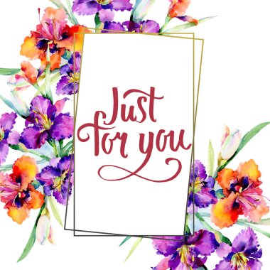 Mor daylily buket çiçek botanik çiçekler. Suluboya arka plan illüstrasyon küme. Çerçeve kenarlığı süsleme Meydanı.