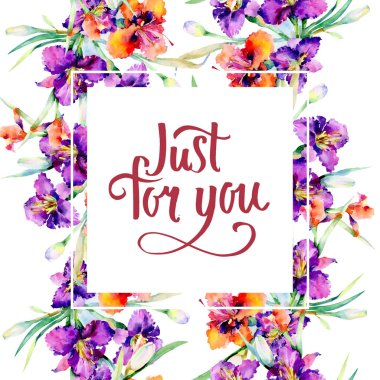 Mor daylily buket çiçek botanik çiçekler. Suluboya arka plan illüstrasyon küme. Çerçeve kenarlığı süsleme Meydanı.