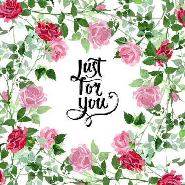 Pembe ve kırmızı güller çiçek botanik çiçekler bush. Suluboya arka plan illüstrasyon küme. Çerçeve kenarlığı süsleme Meydanı.