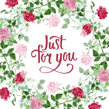 Pembe ve kırmızı güller çiçek botanik çiçekler bush. Suluboya arka plan illüstrasyon küme. Çerçeve kenarlığı süsleme Meydanı.